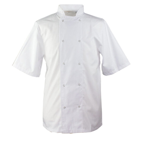 Short Sleeve Chefs Jacket Thumbnail